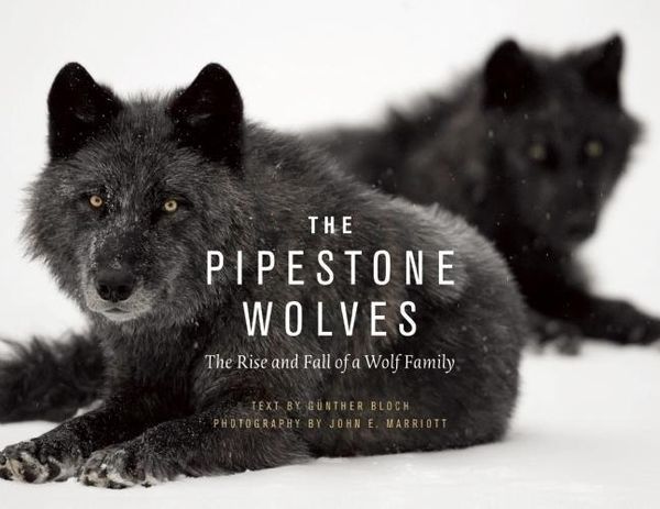 Produktbild: Pipestone Wolves