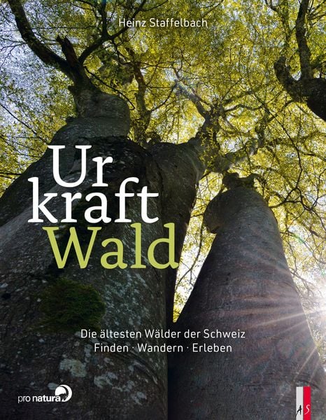 Produktbild: Urkraft Wald