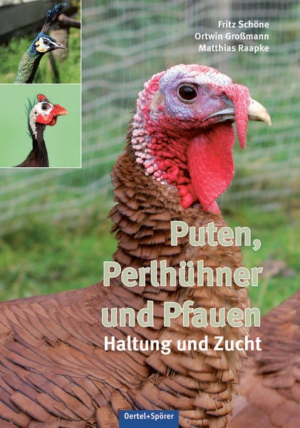 Puten, Perlhühner und Pfauen