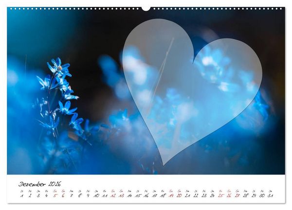 Produktbild: Blauer Bl&uuml;tentraum - Bastelkalender (Wandkalender 2026 DIN A2 quer), CALVENDO Monatskalender