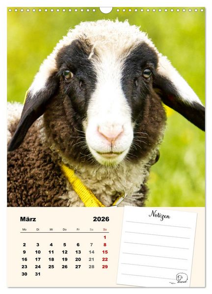 Produktbild: L&auml;mmergl&uuml;ck (Wandkalender 2026 DIN A3 hoch), CALVENDO Monatskalender