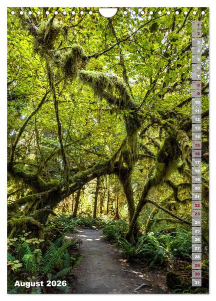 Produktbild: SEATTLE Imposante Stadt- und Naturimpressionen (Wandkalender 2026 DIN A4 hoch), CALVENDO Monatskalender