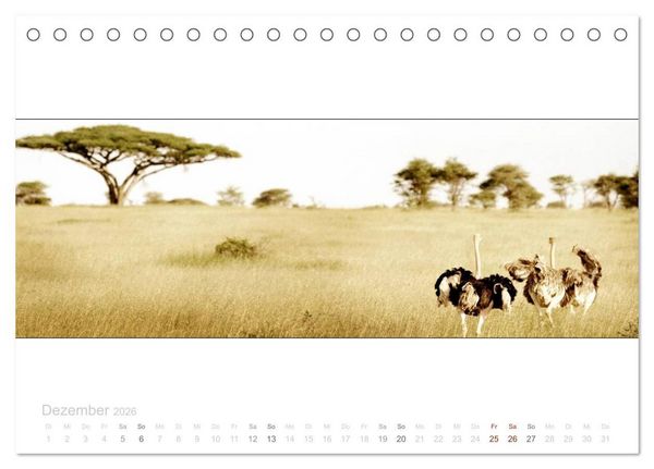 Produktbild: Serengeti Panorama (Tischkalender 2026 DIN A5 quer), CALVENDO Monatskalender