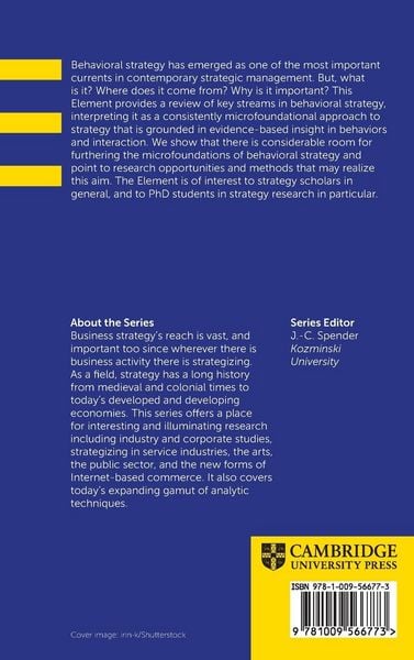 Produktbild: Behavioral Strategy