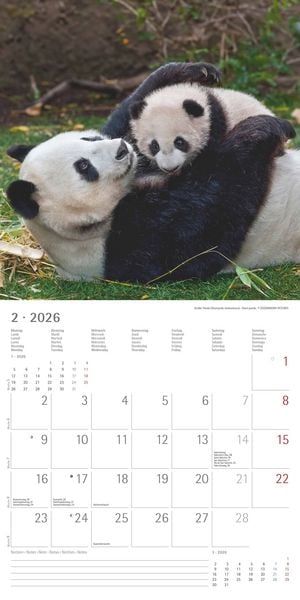 Produktbild: Tierbabys 2026 - Broschürenkalender 30x30 cm (30x60 geöffnet) - Kalender mit Platz für Notizen - Baby Animals - Bildkalender - Wandplaner - Alpha Edit