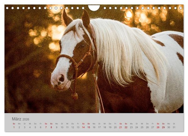 Produktbild: Pferde - Anmut, Eleganz, Magie (Wandkalender 2026 DIN A4 quer), CALVENDO Monatskalender