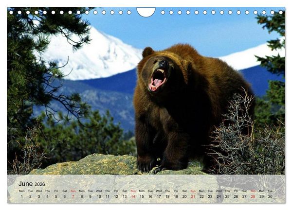Produktbild: Canada Impressions (Wall Calendar 2026 DIN A4 landscape), CALVENDO 12 Month Wall Calendar