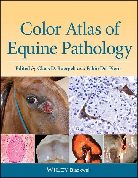 Produktbild: Color Atlas of Equine Pathology
