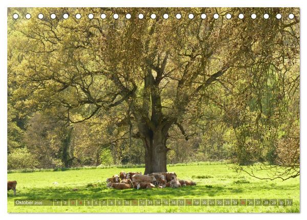 Produktbild: Malerische Cotswolds (Tischkalender 2026 DIN A5 quer), CALVENDO Monatskalender