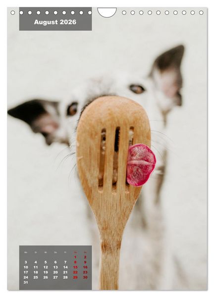 Produktbild: UNDERDOG - Windhundportraits (Wandkalender 2026 DIN A4 hoch), CALVENDO Monatskalender