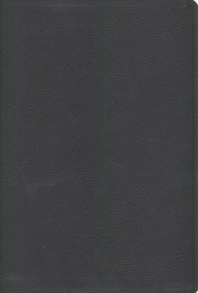 Produktbild: Niv Faithlife Illus Study Bibl