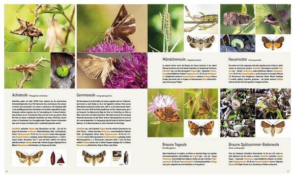 Produktbild: Mein Artenretter Garten
