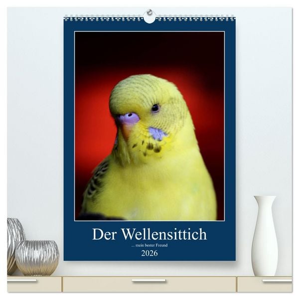 Produktbild: Der Wellensittich - mein bester Freund (hochwertiger Premium Wandkalender 2026 DIN A2 hoch), Kunstdruck in Hochglanz