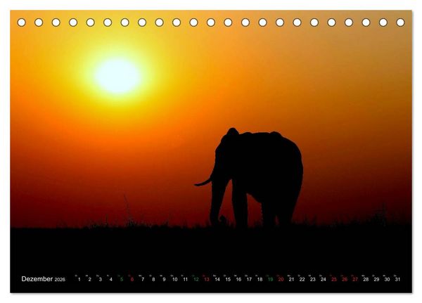 Produktbild: Afrika - im Reich der Elefanten (Tischkalender 2026 DIN A5 quer), CALVENDO Monatskalender