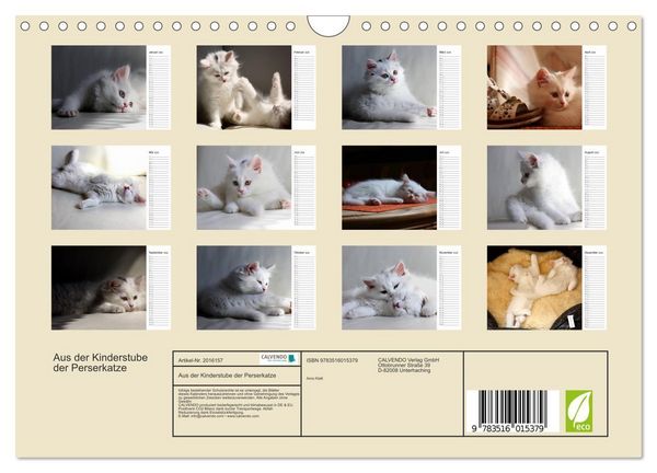 Produktbild: Aus der Kinderstube der Perserkatze (Wandkalender 2026 DIN A4 quer), CALVENDO Monatskalender