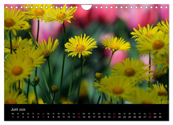 Produktbild: Jahreszeiten / 2026 (Wandkalender 2026 DIN A4 quer), CALVENDO Monatskalender