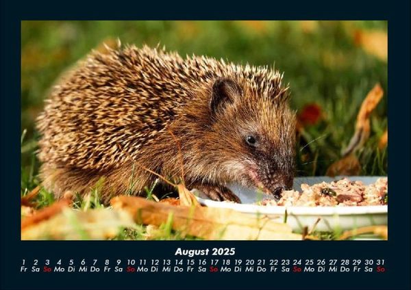 Produktbild: Welt der Tiere 2025 Fotokalender DIN A4