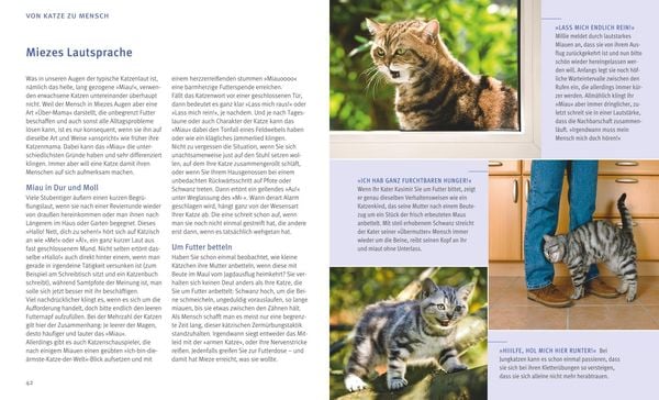 Produktbild: Katzensprache