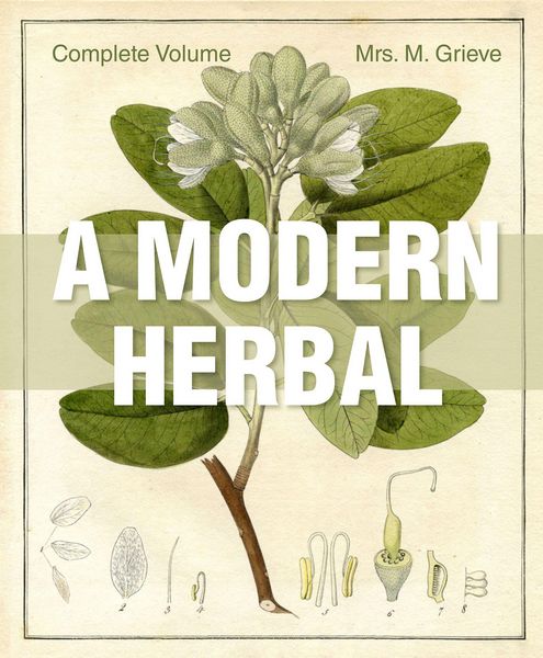 Produktbild: A Modern Herbal