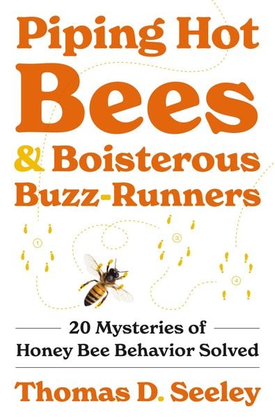 Produktbild: Piping Hot Bees and Boisterous Buzz-Runners