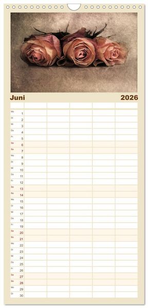 Produktbild: Familienplaner 2026 - Momente in Rosa mit 5 Spalten (Wandkalender, 21 x 45 cm) CALVENDO
