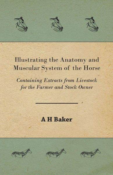 Produktbild: Illustrating the Anatomy and Muscular System of the Horse - Containing Extracts from Livestock for the Farmer and Stock Owner