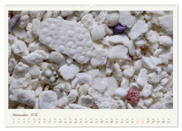 Produktbild: Abenteuer Mikrofotografie Sand (hochwertiger Premium Wandkalender 2026 DIN A2 quer), Kunstdruck in Hochglanz