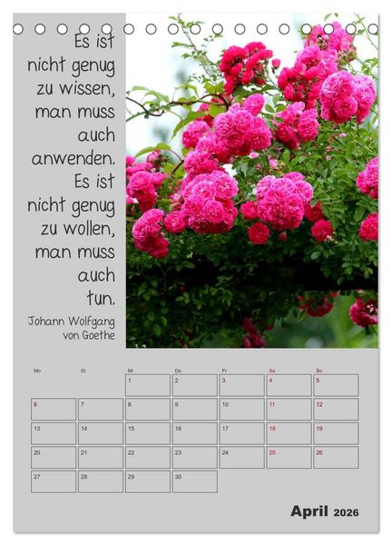 Produktbild: Motivationshilfe (Tischkalender 2026 DIN A5 hoch), CALVENDO Monatskalender