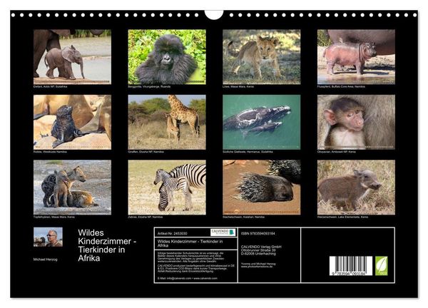 Produktbild: Wildes Kinderzimmer - Tierkinder in Afrika (Wandkalender 2027 DIN A3 quer), CALVENDO Monatskalender