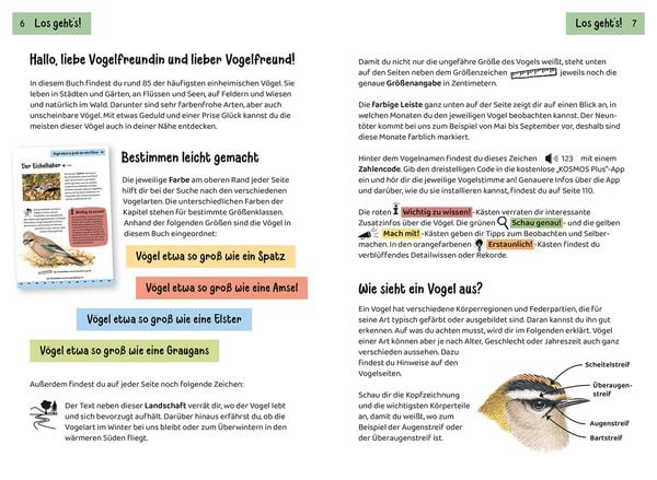 Produktbild: Was fliegt denn da? Kindernaturf&uuml;hrer
