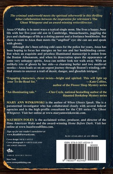 Produktbild: The Book of Illumination