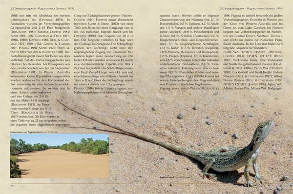 Produktbild: Bartagamen - Die Gattung Pogona