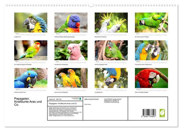 Produktbild: Papageien. Knallbunte Aras und Co. (hochwertiger Premium Wandkalender 2026 DIN A2 quer), Kunstdruck in Hochglanz