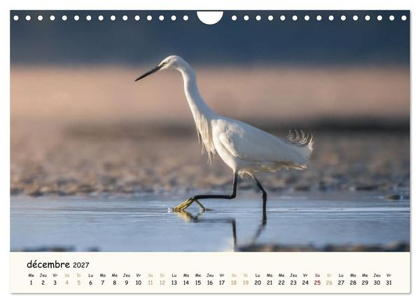 Produktbild: Esprit animal - Regards minimalistes (Calendrier mural 2027 DIN A4 vertical), CALVENDO calendrier mensuel