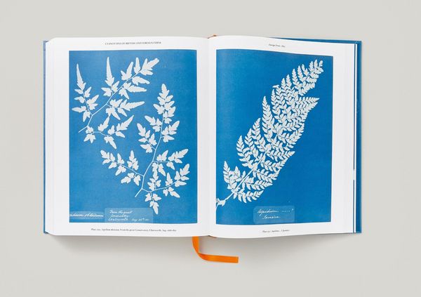 Produktbild: Anna Atkins