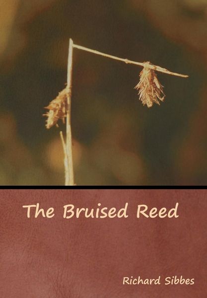 Produktbild: The Bruised Reed