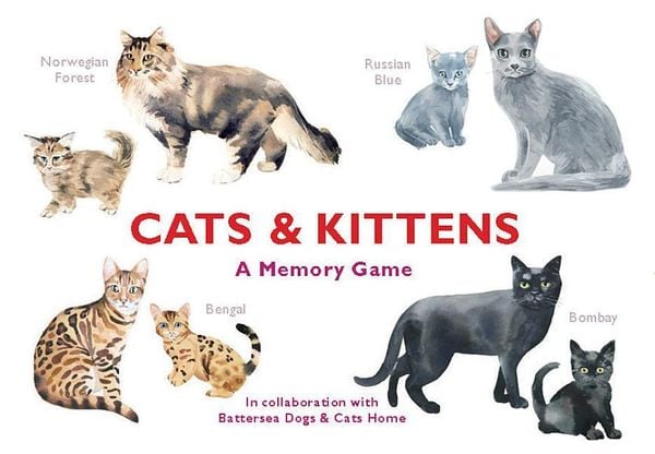 Produktbild: Cats & Kittens