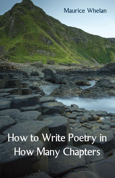 Produktbild: How to Write Poetry in How Many Chapters
