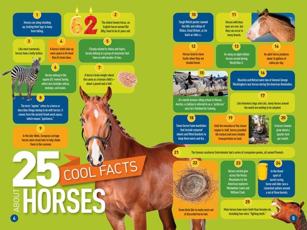 Produktbild: Gallop! (National Geographic Kids Readers, Level 3/Fact Reader)