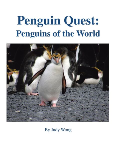 Produktbild: Penguin Quest: