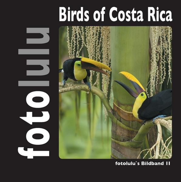 Produktbild: Birds of Costa Rica