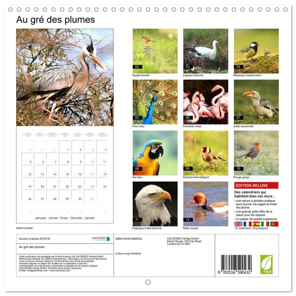 Produktbild: Au gr&eacute; des plumes (Calendrier mural carr&eacute; 2026 30x30 cm) Calendrier double avec une page pour vos prises de notes