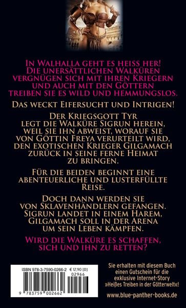 Produktbild: Die geile Walk&uuml;re und ihr harter Krieger | Erotischer Fantasy Roman