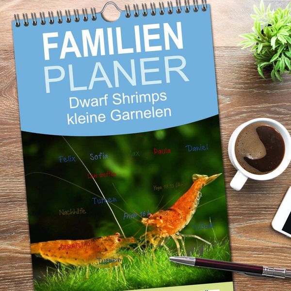 Produktbild: Familienplaner 2026 - Dwarf Shrimps - kleine Garnelen mit 5 Spalten (Wandkalender, 21 x 45 cm) CALVENDO