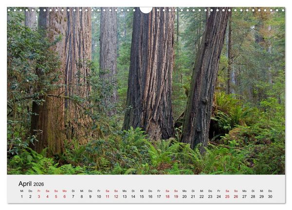 Produktbild: Kalifornien - K&uuml;sten und W&uuml;sten, St&auml;dte und Berge (Wandkalender 2026 DIN A3 quer), CALVENDO Monatskalender