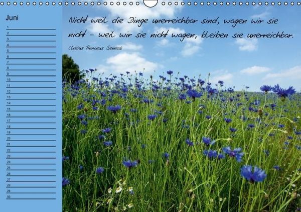 Produktbild: Blumengartenjahr - Geburtstagskalender mit sch&ouml;nen Zitaten (Wandkalender immerw&auml;hrend DIN A3 quer)