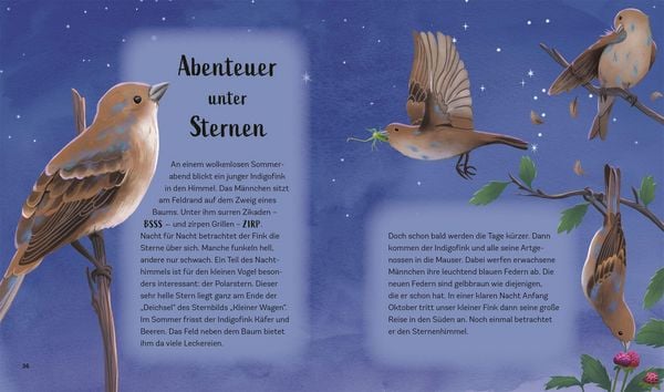 Produktbild: Tiergeschichten zum Tr&auml;umen. Zauber der Nacht
