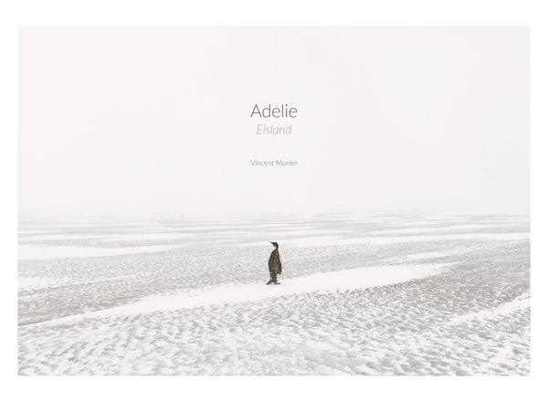 Produktbild: Adelie: Eismeer &ndash; Eisland