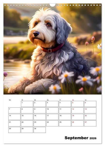 Produktbild: Aussiedoodle - Hunde zum Liebhaben (Wandkalender 2026 DIN A3 hoch), CALVENDO Monatskalender