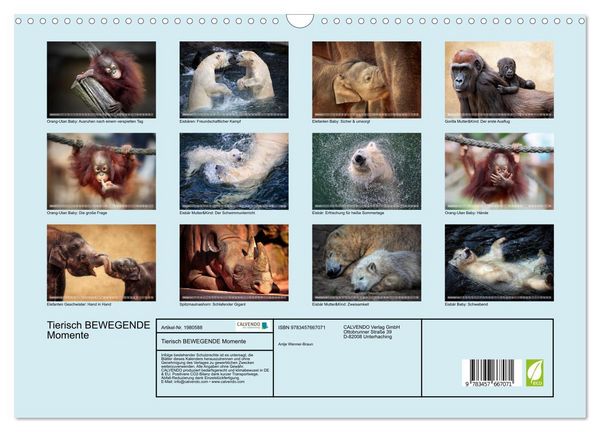 Produktbild: Tierisch BEWEGENDE Momente (Wandkalender 2026 DIN A3 quer), CALVENDO Monatskalender